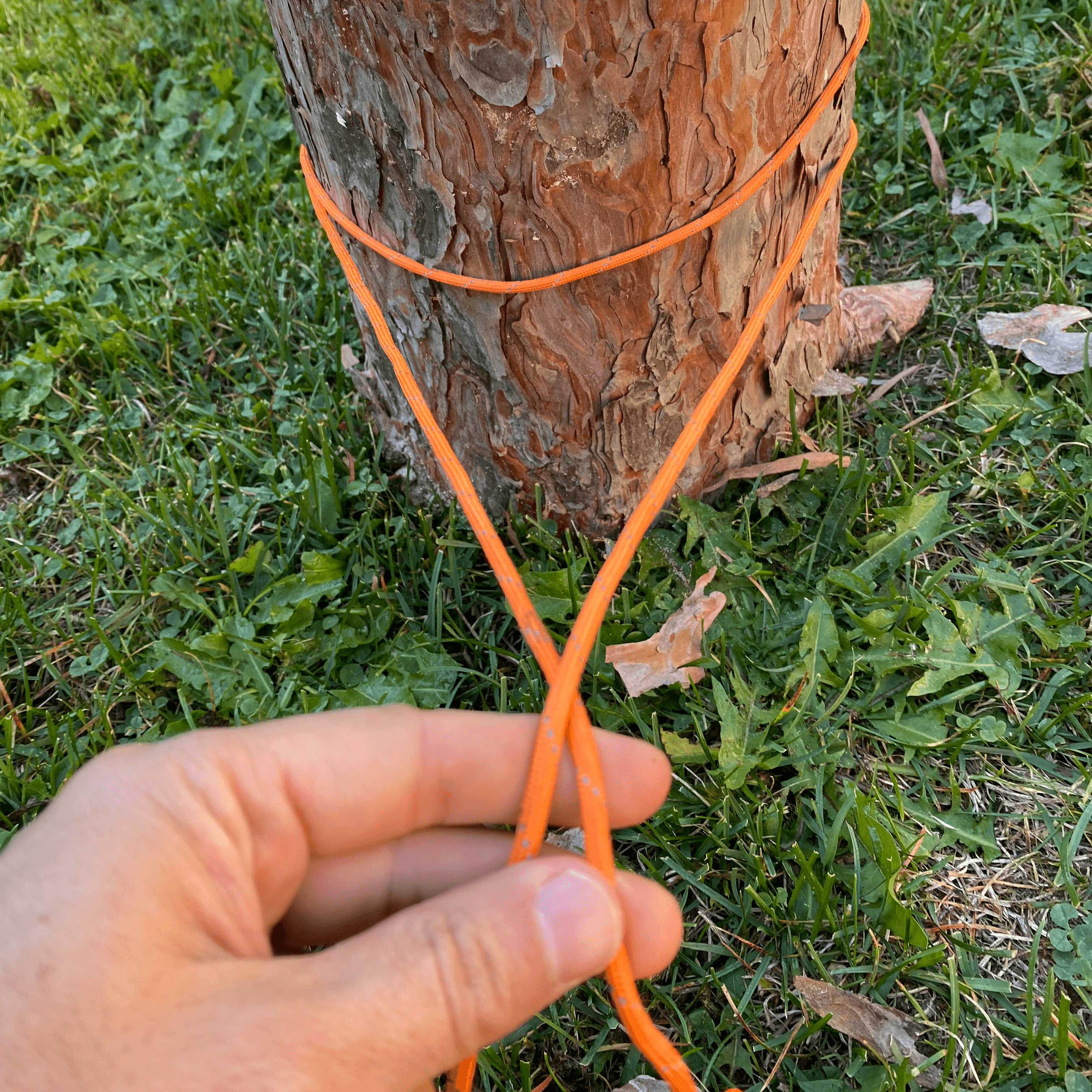 wrap around the anchor