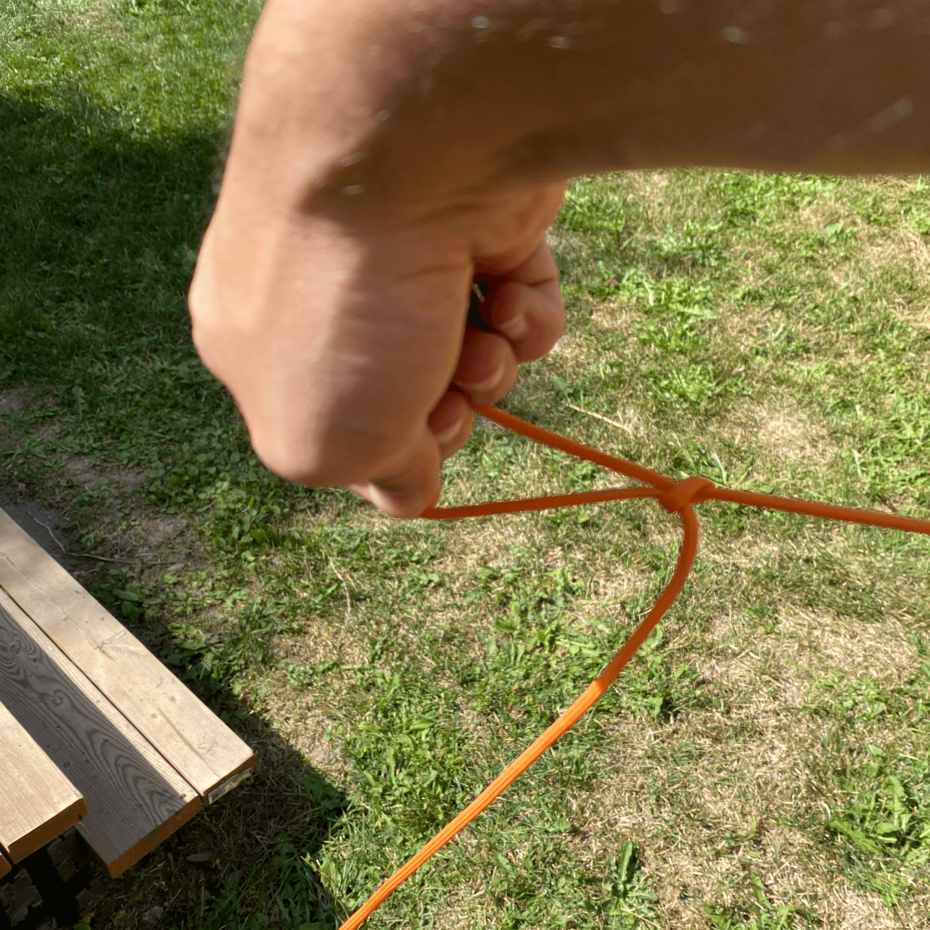 pull the bight through the loop and tighten the loop around it