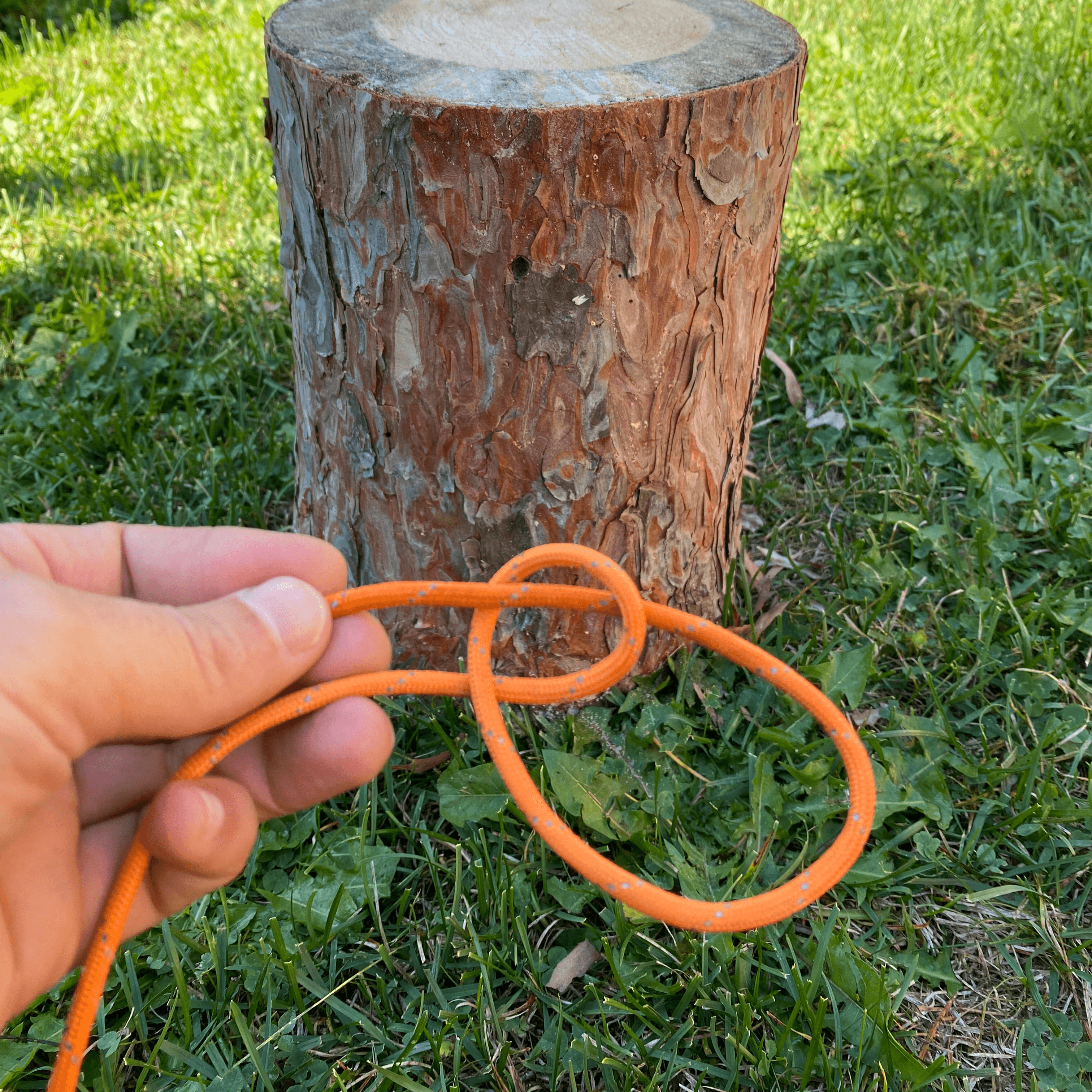 pass working end through loop