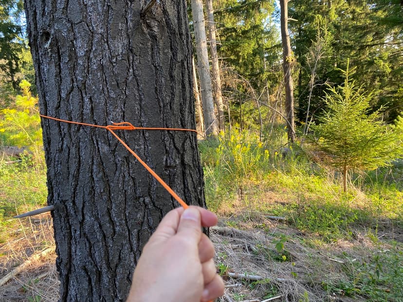 The 7 Essential Knots Every Camper Must Know
